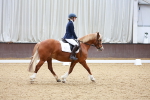 SBM_000666
