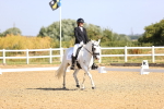 SBM_008678