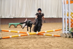 SBM_001277