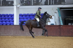 SBM_002541