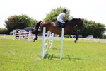 Class 12: Senior Foxhunter/1.20 open portfolio