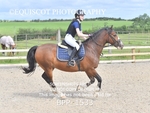 BPP_1533