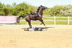 SBM_002121