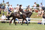 3E7A9447
