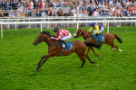 270724-Race 6-Ziggy-7537