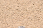 240509A-102114-00839