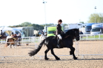 SBM_08781