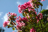 Stourhead _ WILT021