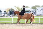 SBM_03332