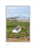 01 9x12 2022-134C Cottage by the sea Co Donegal