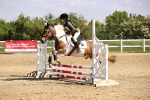 SBM_000391