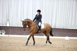 SBM_01553