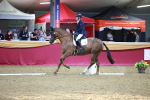 SBM_06695