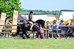 SBM_15320