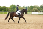 SBM_006342