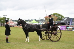 SBM_05781