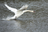 20140417-3K8A0262