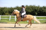 SBM_001468