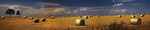 Hay Bale-Panorama-1