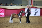 SBM_15539