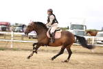 SBM_007569