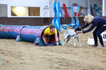 SBM_005468