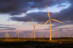 Whitelee Wind Farm, East Renfrewshire