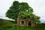DSC01963