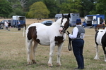 WJ6_5794