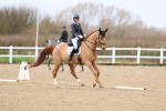 SBM_002466