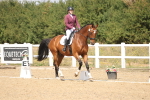 SBM_009770