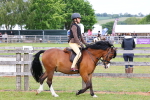 SBM_08501