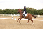 SBM_005904