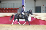 SBM_23290