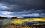 Loch Ba 02