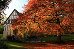 OCTOBER 2015-6
