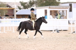 SBM_11657