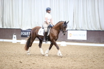 SBM_003602
