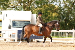 SBM_15453