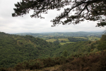 Dartmoor _ DR 18
