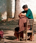 The hairdresser