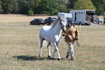 WJ6_4637