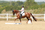 SBM_022200