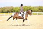SBM_008012