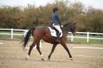 SBM_001602