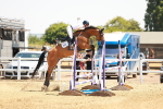 SBM_001881