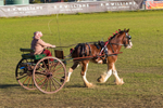 Harness Driving Challenge 27. 0A3A9762
