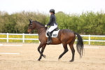 SBM_008499