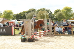SBM_49395