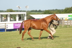 SBM_10497